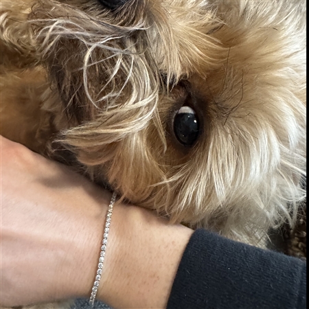 My daughters is absolutely delighted with the bracelet!!